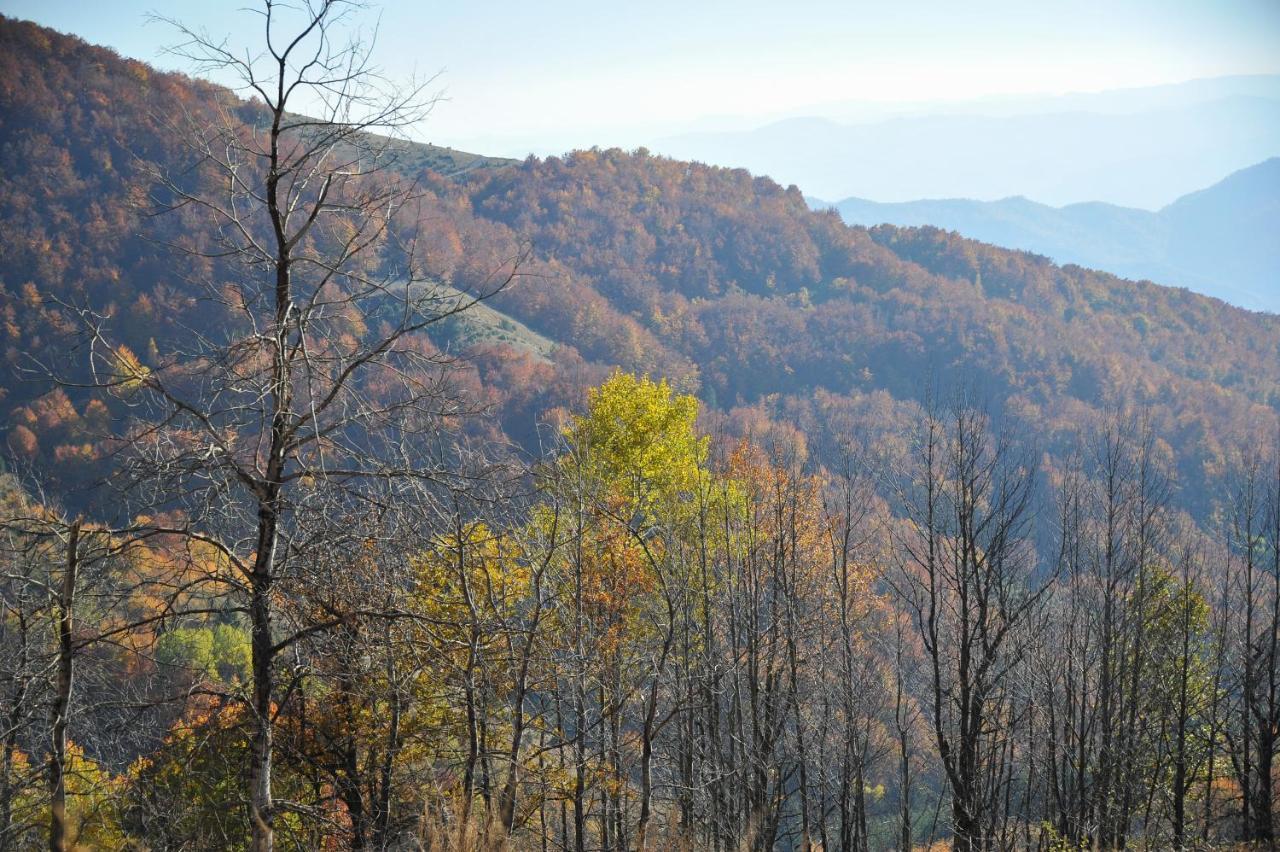 Apartmani Krstojević Kopaonik Zewnętrze zdjęcie