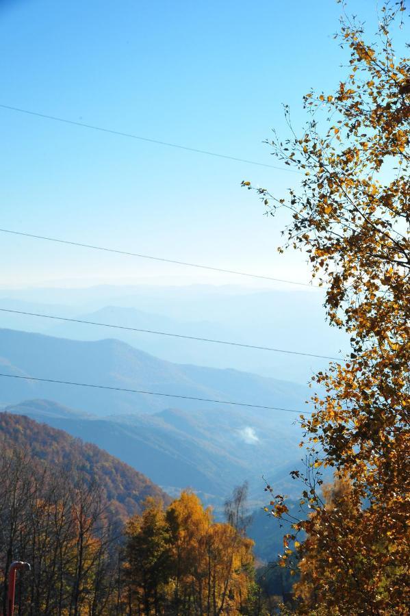 Apartmani Krstojević Kopaonik Zewnętrze zdjęcie